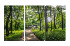 Bridge-forest