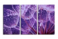 Purple-flower
