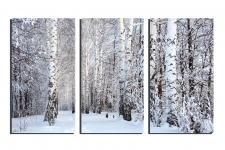 Snow-forest
