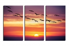 Sunset-with-birds